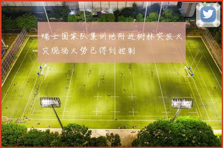 瑞士国家队集训地附近树林突发火灾现场火势已得到控制